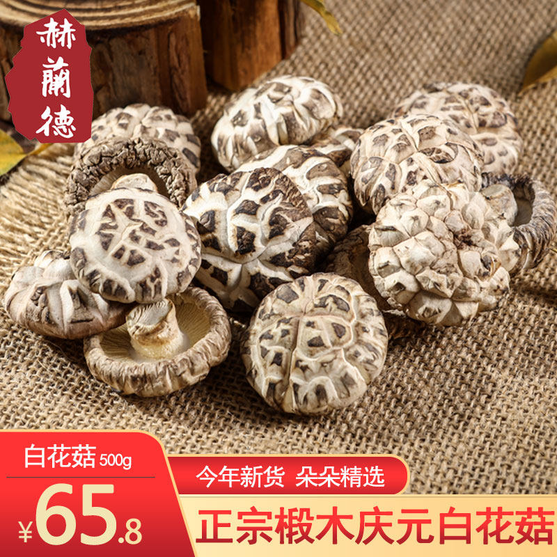 赫兰德庆元白花菇干货500g特产椴木干香菇新鲜农家小花菇冬菇送礼