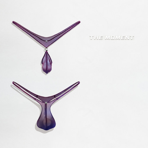 原创炫紫变色半透明鼻环中低腰深V丁字裤情设计师款色25新款男士