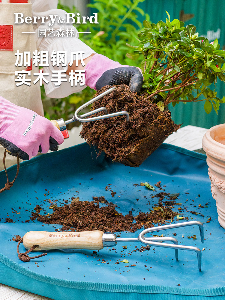 浆果和鸟类园艺森林不锈钢三爪家用花卉种植工具盆栽花园松散土壤