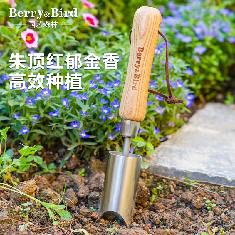 Berry&Bird园艺森林种球种植器球根移植郁金香风信子挖洞园艺工具