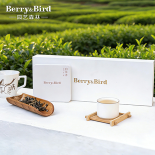 Berry&Bird园艺森林茶叶白茶白牡丹礼盒装福建茶叶送礼装30克*6包