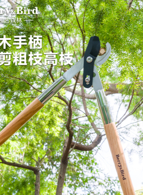 Berry&Bird园艺森林粗枝剪修枝剪果树大剪刀强力长柄省力专用工具