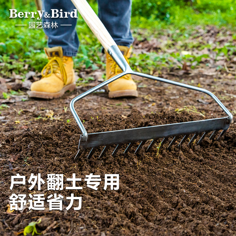 Berry&Bird园艺森林翻土耙子松土不锈钢齿钉耙草坪通气户外工具 鲜花速递/花卉仿真/绿植园艺 耙子 原图主图