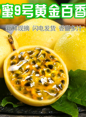 钦蜜9号黄金百香果5斤现摘密甜