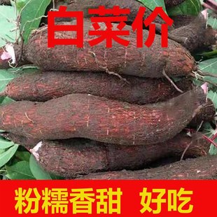 广西特产面包木薯新鲜现挖红皮白肉木薯粗粮2/5/10斤树薯粉香番薯