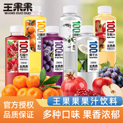 王果果瓶装果汁白桦树汁椰子苹果葡萄砂糖橘石榴汁果汁饮料500ml