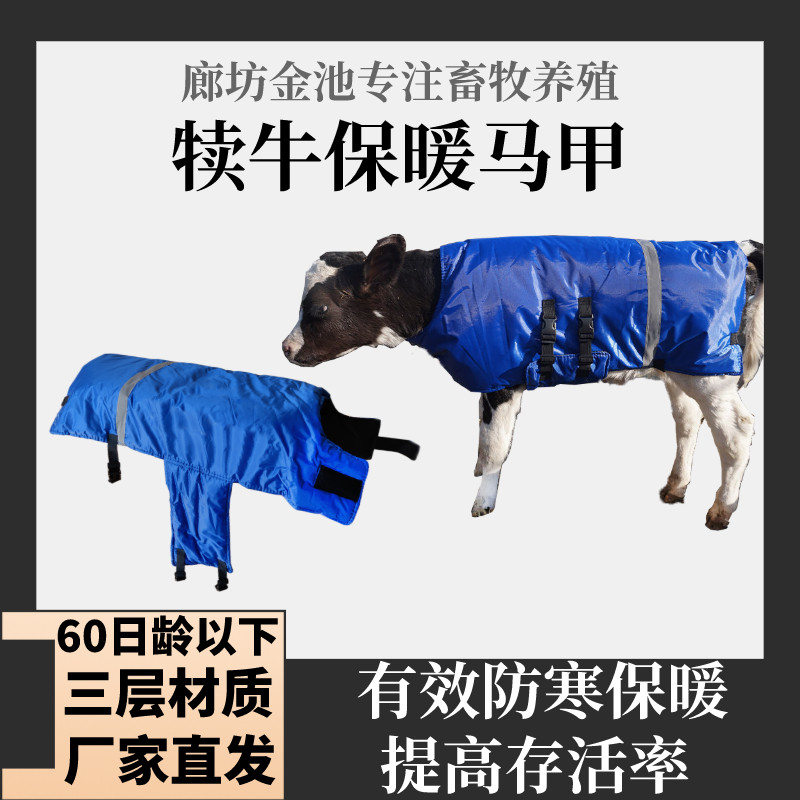 犊牛服保暖防水马甲小牛用加厚夹棉加绒防寒犊子马甲衣服牧场用品