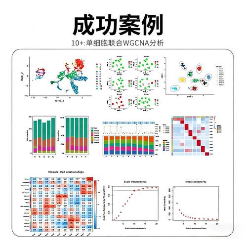 Python或R语言绘图数据分析可视化定制热图森林图ROC曲线柱形饼状
