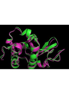 modeller 同源建模 aphafold 蛋白结构预测