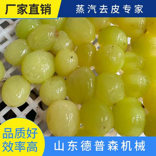 商用葡萄柿子清洗脱皮机洋葱胡萝卜去皮设备