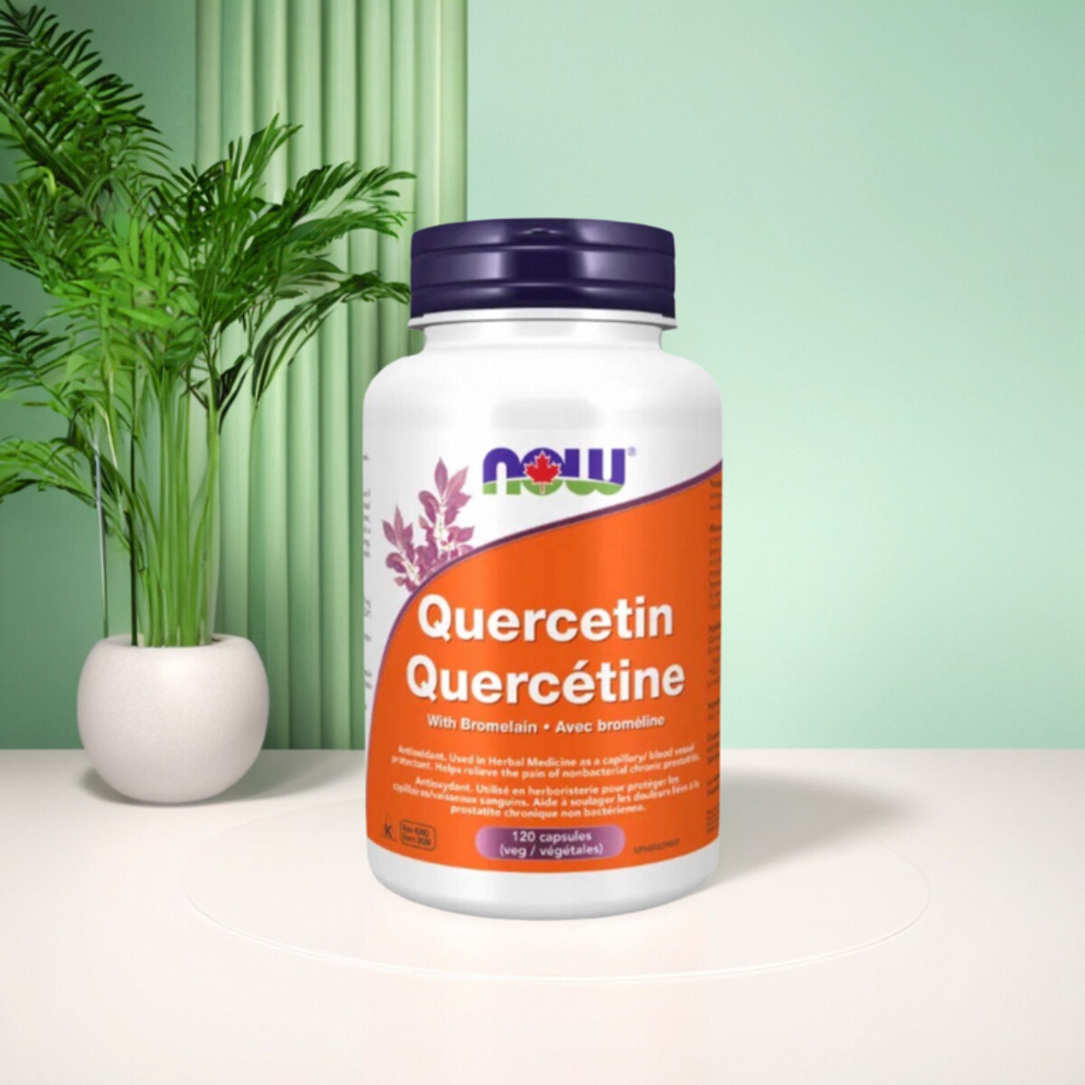加拿大 Now Foods Quercetin 槲皮素 菠萝蛋白酶 胶囊 120粒