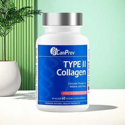 加拿大 CanPrev II 型胶原蛋白 高效力胶原蛋白肽 支持关节健康