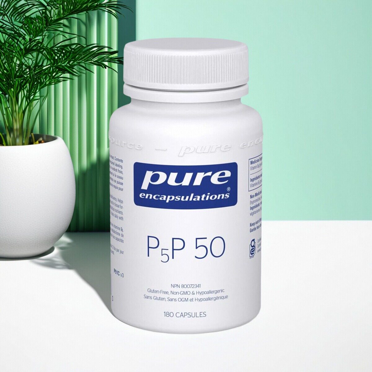 加拿大 Pure 倍宜 P5P 50 磷酸吡哆醛 维生素B6 红细胞生成