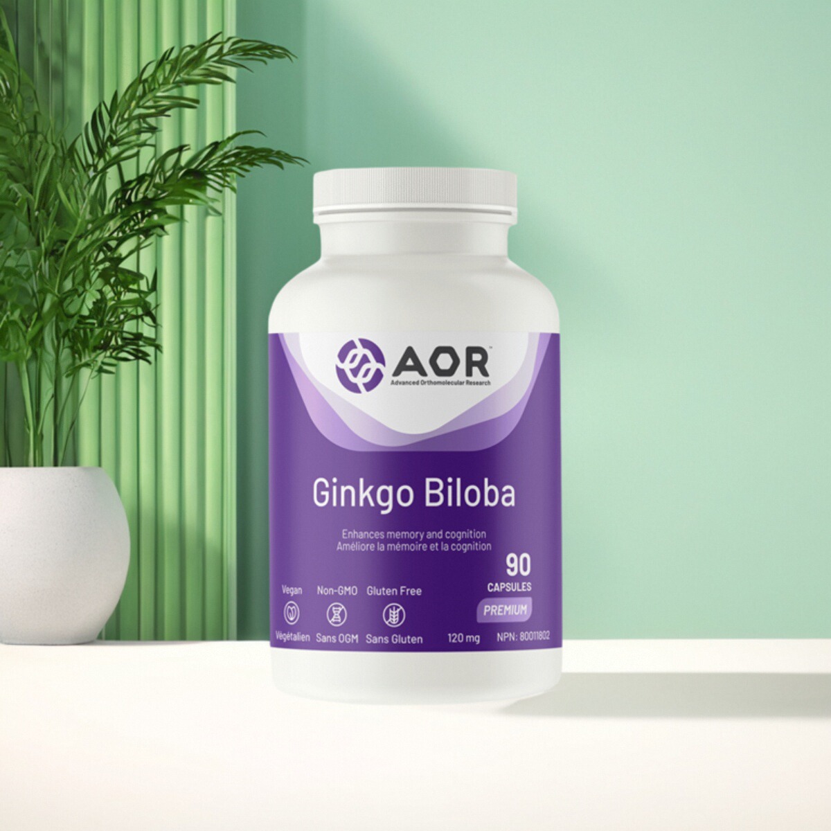 加拿大 AOR Ginkgo Biloba 银杏叶提取物 缓解耳鸣 大脑健康90粒