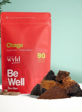 加拿大 直邮 Stay Wyld Organics Chaga 有机白桦茸 胶囊 90粒