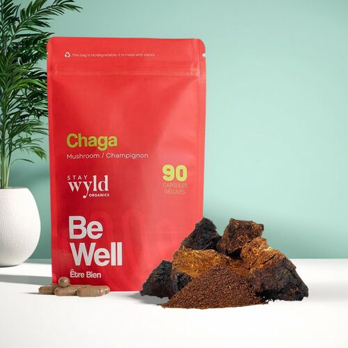 加拿大 Stay Wyld Organics Chaga 有机白桦茸免疫支持 90粒