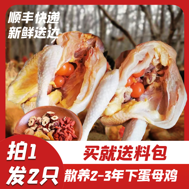 老母鸡散养农村现杀新鲜送料包
