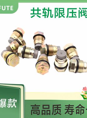 1110010022 高压燃油共轨限压阀压力阀 适用于依维柯发动机 D1631