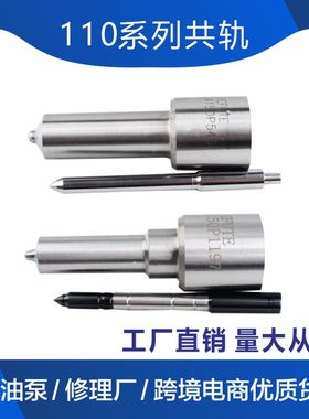 DLLA145P2431 DLLA150P2434 DLLA145P2448 柴油共轨喷油嘴 D2131