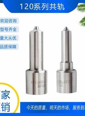 DLLA154P2406 DLLA150P2410 DLLA152P2422 柴油共轨喷油嘴 D2231