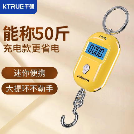 精准迷你手提电子秤高精度家用小型便携式吊秤弹簧秤钩称行李称克