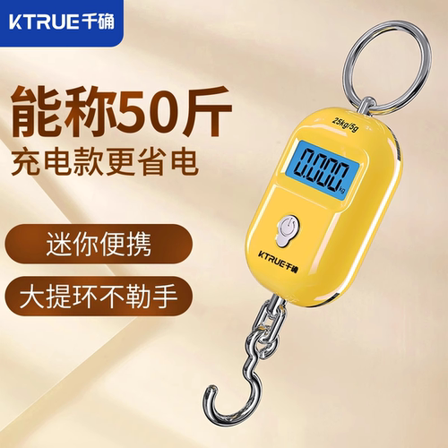 千确手提电子秤便携式弹簧秤精准
