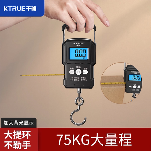 千确手提电子秤便携式弹簧称精准