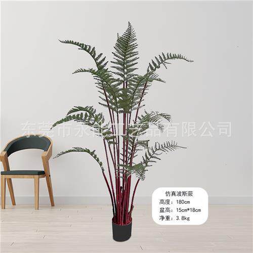 北欧仿真植物马尾撅树落地装饰仿真蕨类假树大型盆栽造景仿真树