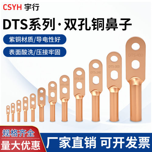 国标A级双孔紫铜鼻子接线端子