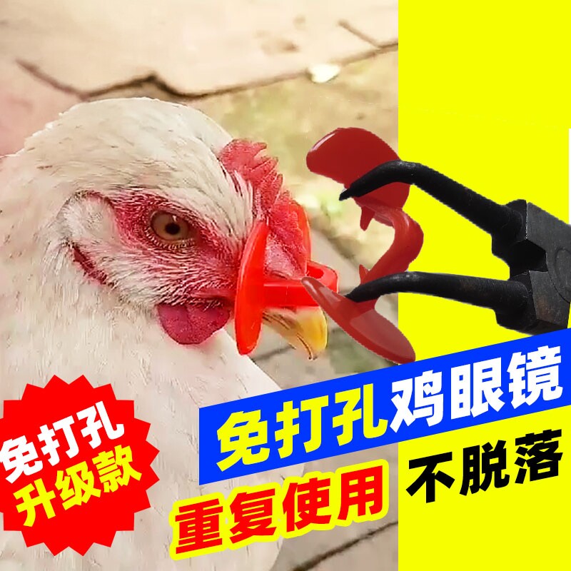 防啄鸡用眼镜鸡戴的眼睛眼罩公鸡打架免穿孔鸡嘴卡环无栓卡戴鼻环