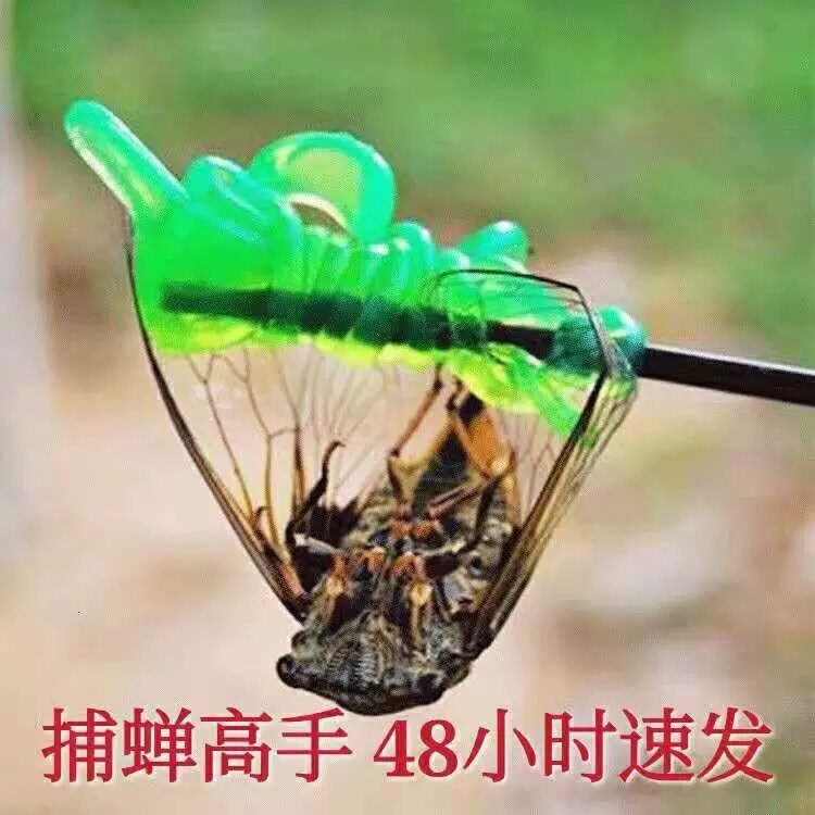 粘知了胶小手粘蝉杆抓知了神器捕蝉捕捉器工具手掌小绿手粘球玩具