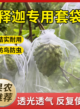 释迦果套袋专用袋佛头果防虫防鸟透气番茄桃芒果橘子通用水果网袋