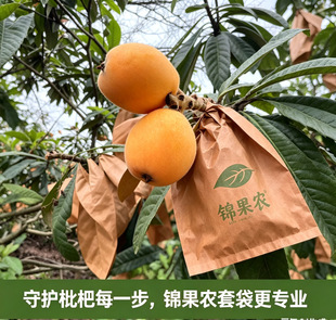 枇杷套袋专用袋水果纸袋黄金梨袋晚秋黄梨丰水梨果袋防虫防鸟袋子