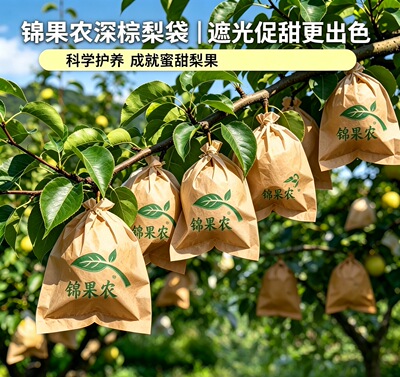 锦果农梨专用套袋防虫防鸟