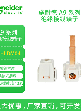 施耐德断路器空开 绝缘 接线端子 配合1P DPN汇流排使用 A9HLDM04