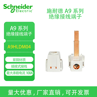 施耐德断路器空开 绝缘 接线端子 配合1P DPN汇流排使用 A9HLDM04