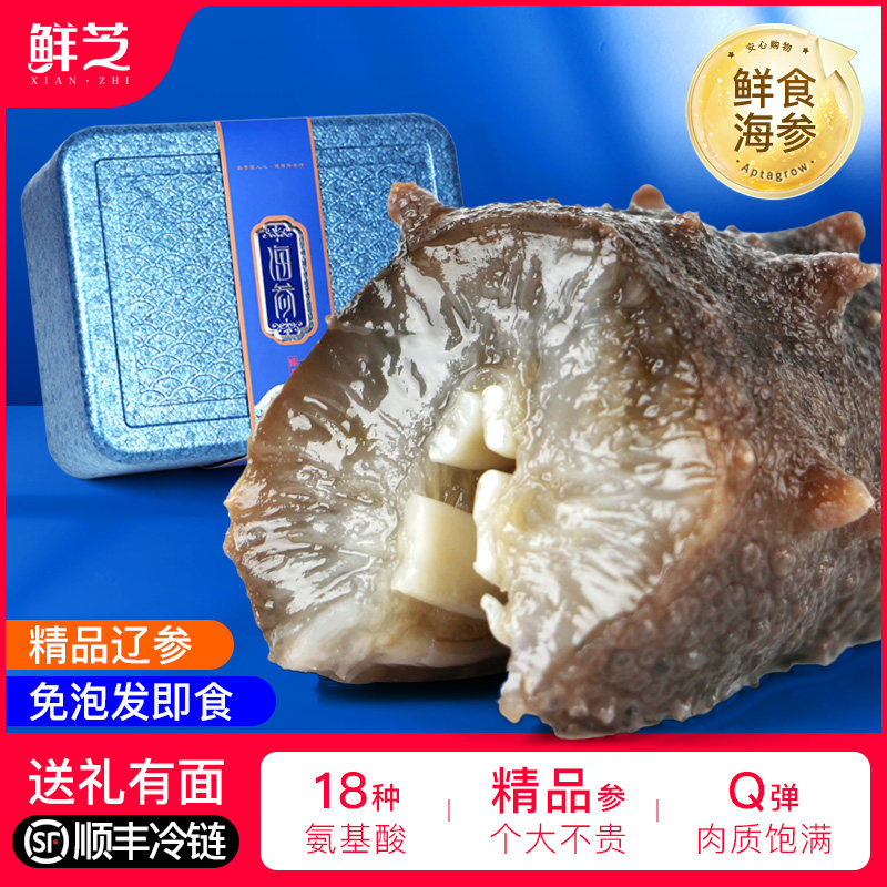 (活动价)即食海参即使海参500g冷冻水产深海辽参开袋即食大连海参