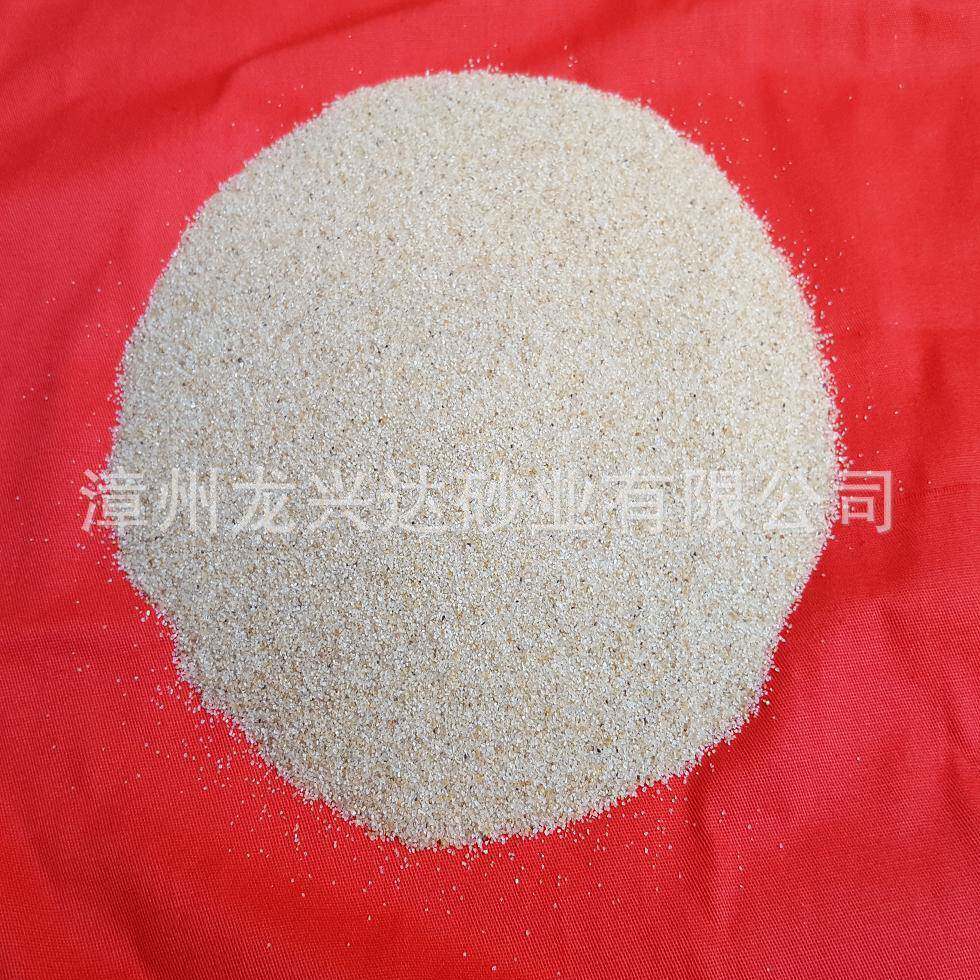 厂家热卖天然白海砂天然白沙白色天然海砂人工沙滩用白沙砂