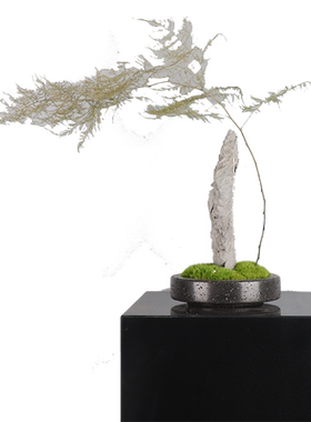 永生苔藓文竹新中式客厅茶室茶几