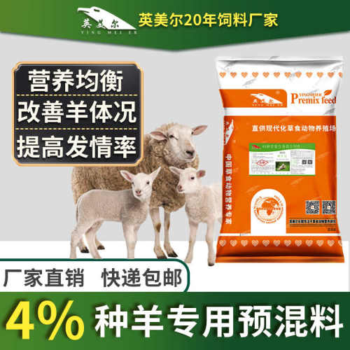混合饲料母羊英美尔产仔多羔