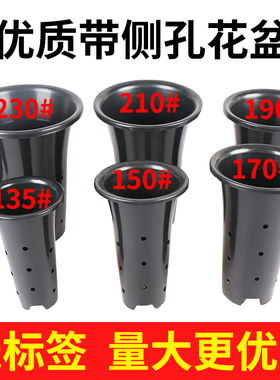 带侧孔园艺兰花盆种植盆栽塑料透气大号黑色四季兰君子兰花专用盘