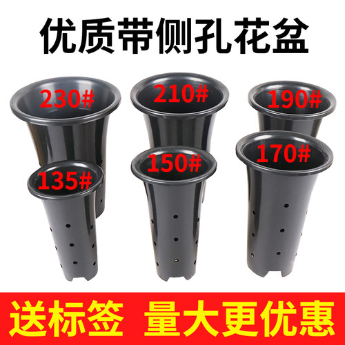 带侧孔兰花盆塑料黑色