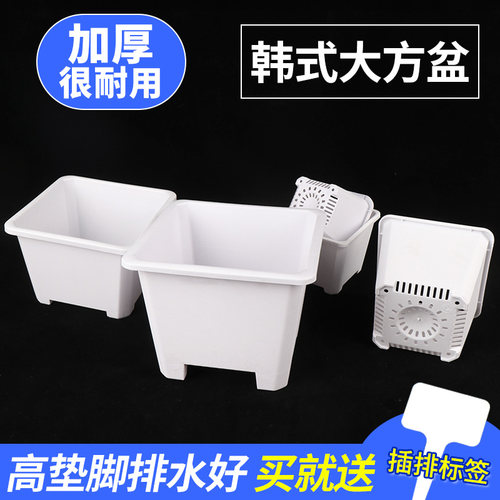 白色景天小方加厚绿植多肉花盆