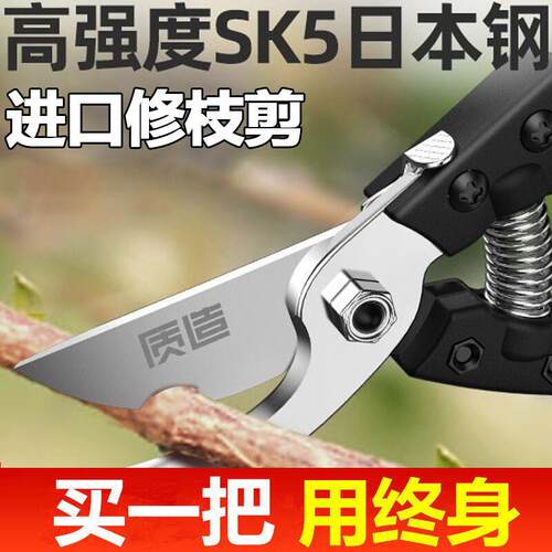 新款剪树枝专用剪刀园林修枝剪果树园艺sk5修花剪子省力