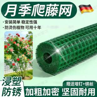 德国月季爬藤专用铁丝网花架固定花墙架网格爬藤架蔷薇花植物爬墙