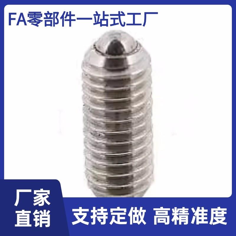 BPEU3 /4/5/6/8/10/12/16字槽型不锈钢Q球头柱塞C-BPEU4