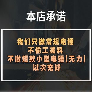 德国莱克仕大功率电锤电镐电钻工业级多功能三用家用冲击钻混凝土