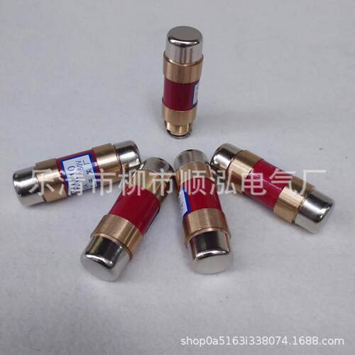 无填料封闭管式熔断器RM10 6-15A  60A 100A 200A 250V 500V