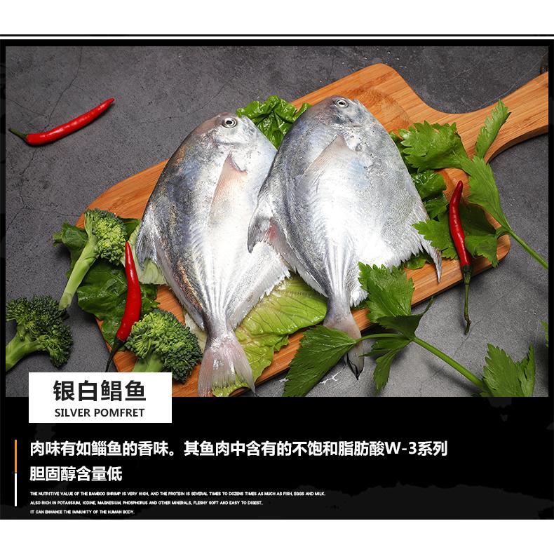 2025温州特产10斤海鲜礼盒装海鲜礼包高档海鲜大礼盒鲜活冷冻年货