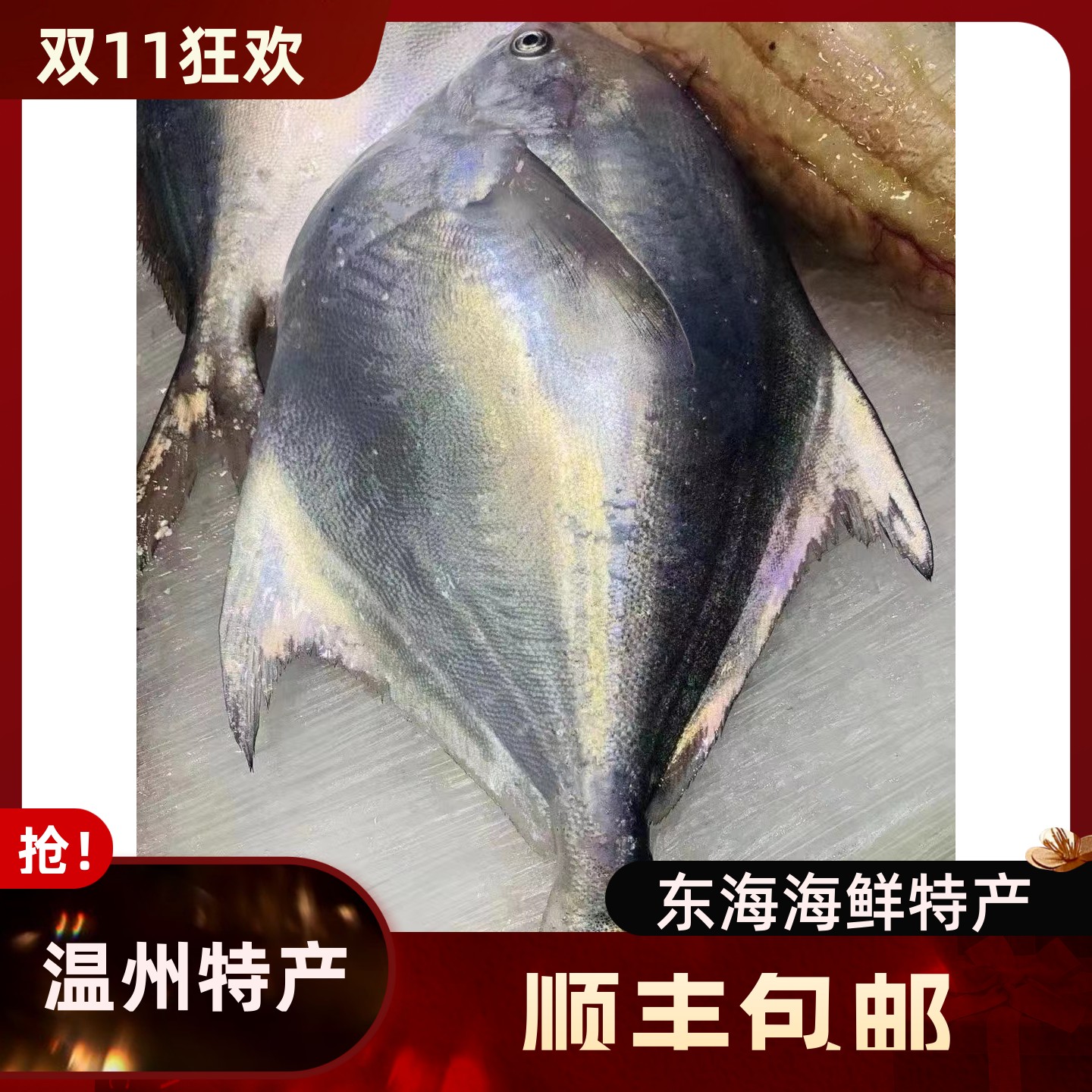 新鲜银鲳鱼9两-1斤1条